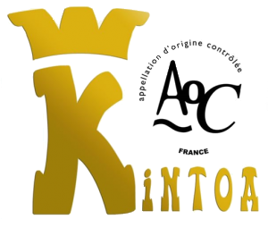 AOC-Kintoa-300x255